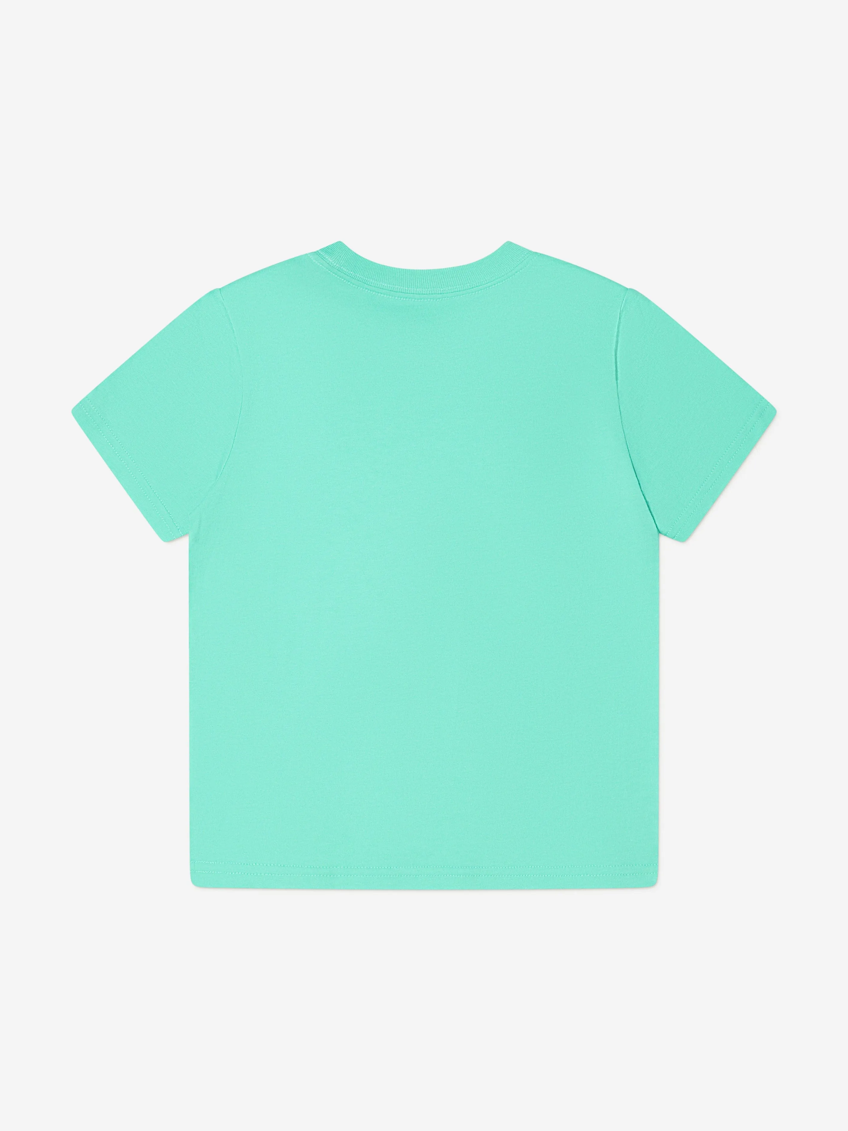 Ralph Lauren Boys Logo T-Shirt in Green